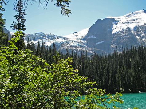 Mountain Glacier - Alaska Cruise