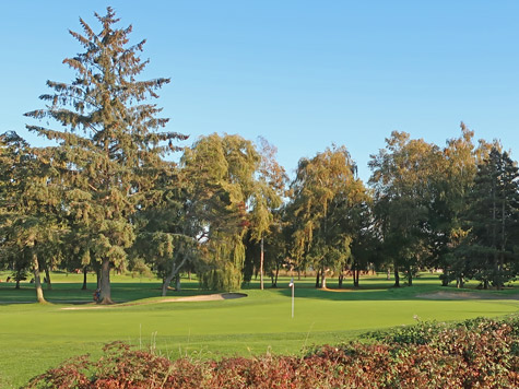 Golfing in Vancouver