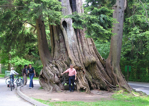 Stanley Park in Vancouver Canada