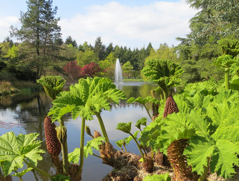 VanDusen Gardens, Vancouver BC